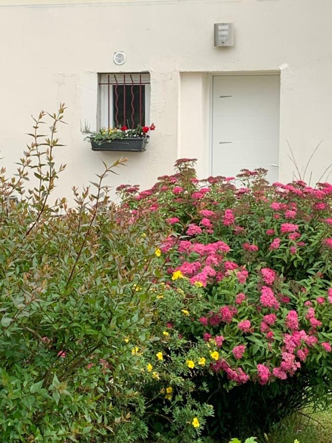 Gite Les Combes Terrasse 01340 Etrez Bresse Vallons Eksteriør billede